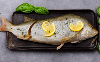 baked porgy with basil