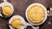 chicken stroganoff pot pie