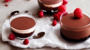 chocolate cream mousse