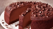 chocolate praline cake