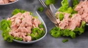 congealed tuna salad