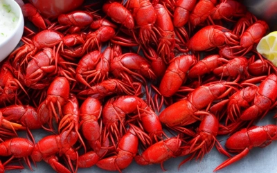crawfish boil