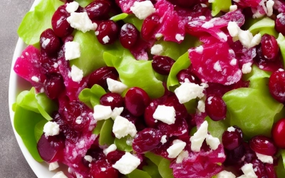 frozen cranberry salad
