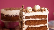 ice cream crunch cake
