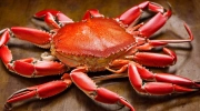 marinated cracked dungeness crab