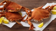 maryland fried softshell crabs