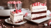 peppermint ice cream cake