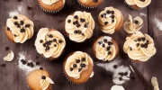 shoofly cupcakes